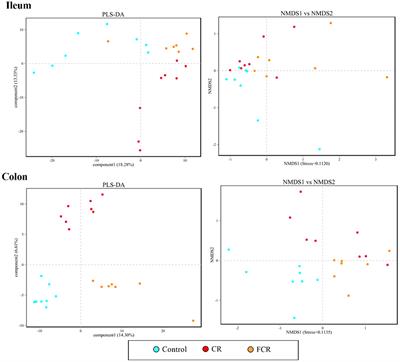 Diets Partially Replaced With Cassava Residue Modulate Antioxidant Capacity, Lipid Metabolism, and Gut Barrier Function of Huanjiang Mini-Pigs